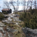IMG_20150502_095719